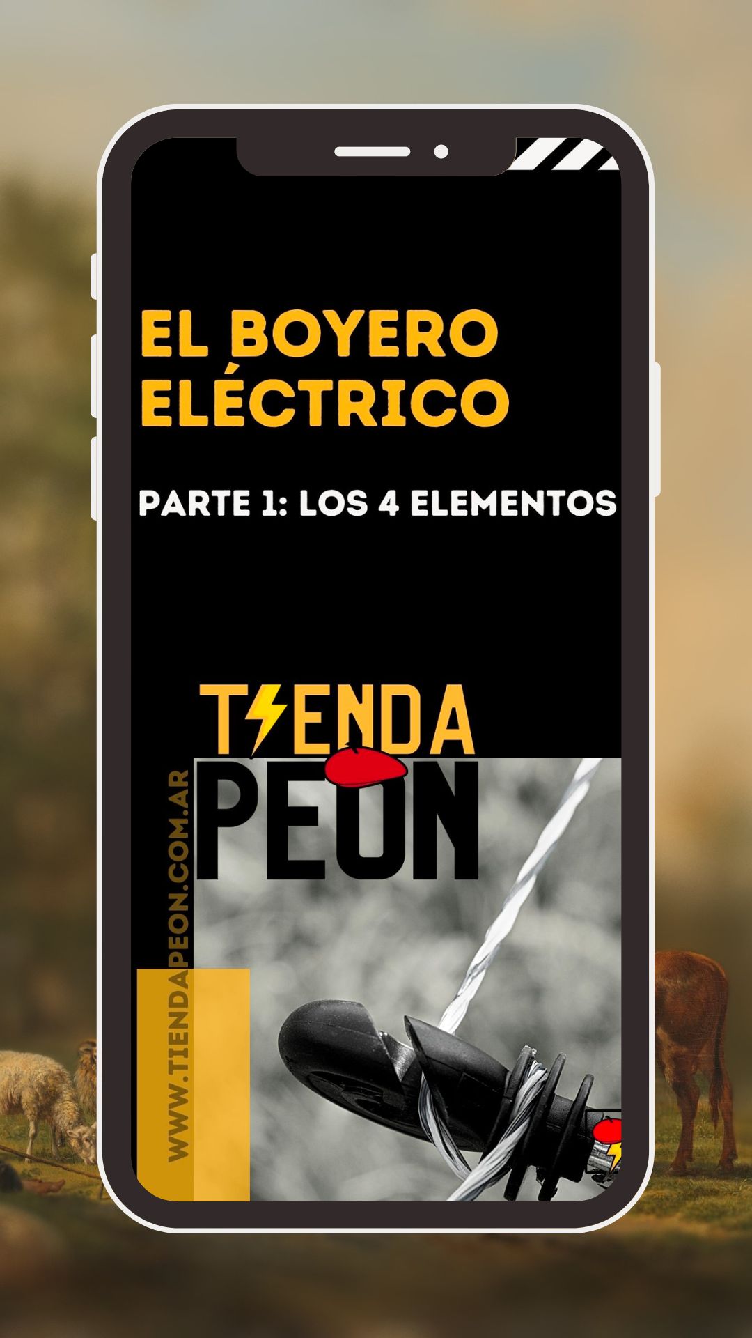 Manual de boyero eléctrico. Los 4 elementos: el electrificador, la toma de tierra, los aisladores y el alambre.